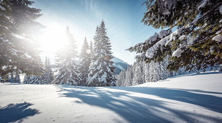 Wonderful wintry landscape. Winter mountain forest. frosty trees under warm sunlight. picturesque nature scenery. creative artistic image. Nature background. winter holiday day. Christlmas concept