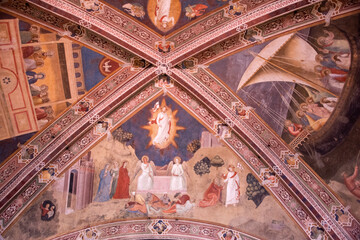 Obraz premium Florence, Tuscany, Italy: renaissance Basilica of Santa Maria Novella, the great Dominican church