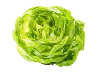 Blattalat, Kopfsalat - Salat PNG Transparent