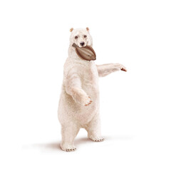 Fototapeta premium ours polaire, frigide, dans la bouche, limande, mangeant, neige, amour, poisson, pêcher, montrant, faune, illustration, arctique, hiver, blanc, glace, animal, nature