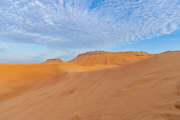 Fototapeta na wymiar Dubai, UAE, desert Al Marmoom