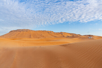 Fototapeta na wymiar Dubai, UAE, desert Al Marmoom