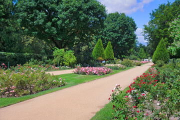 Rosengarten Forst