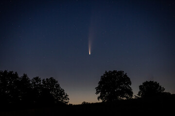 Komet Neowise an der Zundelbacher Linde © Tobias