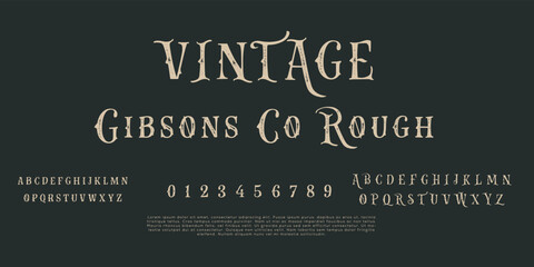 Elegant and modern serif alphabet letters font and number