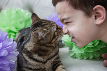 the cat sniffs the nose of the child, the child and the cat