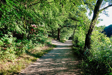 path in the park , image taken in rugen, north germany, europe