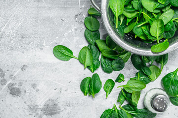Fresh spinach in a saucepan and salt.