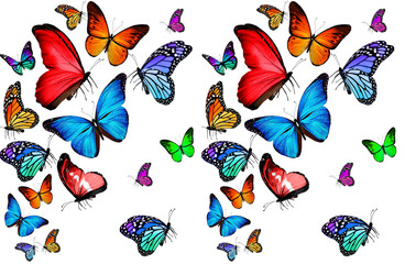 set of butterflies pattern