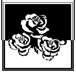 black and white rose