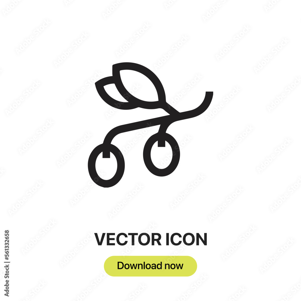 Poster olive icon vector. linear style sign for mobile concept and web design.olive symbol illustration. pi