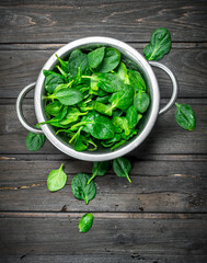 Spinach in a saucepan.