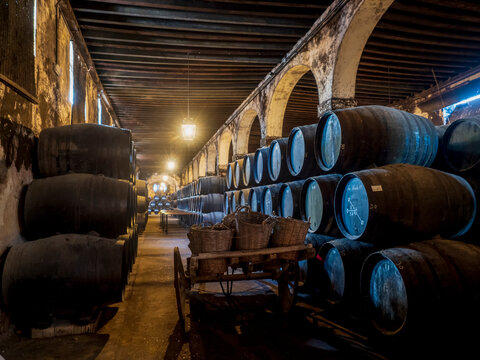  Puerto de Santa Mar&iacute;a, Cadiz ,Espa&ntilde;a. 12/30/2022.  Interior de la famosa bodega Osborne con filas de barriles de madera conservando el vino