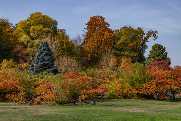 Herastrau Park in the Fall