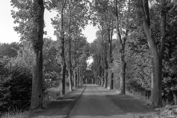 Obraz premium grayscale shot of a path in the landscape