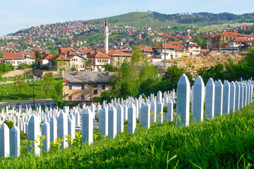 Sarajevo, Bosnia, and Herzegovina - cityscape
