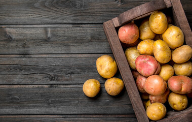 Obraz na płótnie Canvas Fresh potatoes in a wooden box.
