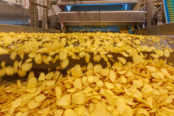 Potato golden chips are coming from fryer machine.