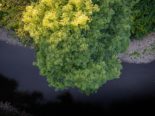 Aerial photo of a river and trees taken by a drone