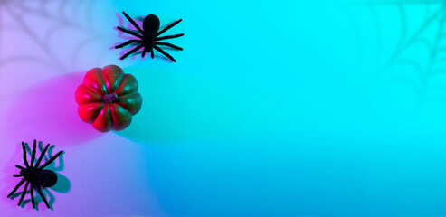 Obraz na płótnie Canvas Halloween design. Black night spider, scary spooky pumpkin on night neon helloween background. Happy Halloween concept. Frame. Copy space, Flat lay.