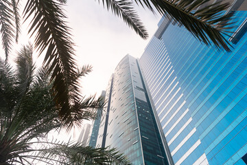 Fototapeta na wymiar skyscraper architecture perspective, copy space. glass facade building wih summer palm tree