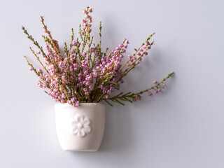 Purple flowers of common heather (Calluna vulgaris) in a small white vase