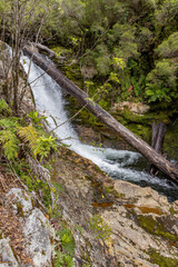 Waterfall view while hiking the Sendero Cascadas Escondidas in the Parque Nacional Pumalín Douglas...