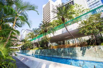 Line  of curved palm trees in long  pool  in  Chater garden