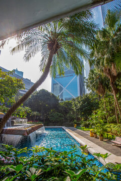 Curved palm tree and Chater park next skyscrapers in Central districtof ong Kong