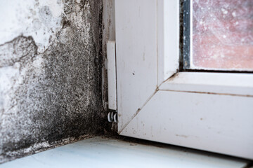 Mold in the corner of the plastics doors, windows. Mold is a health hazard