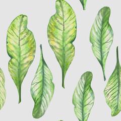 Leaves pattern. Elements in watercolor style
