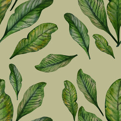 Pattern from leaves. Elements in watercolor style
