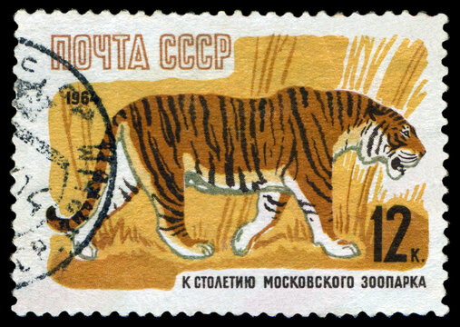 Vintage  postage stamp. Tiger.