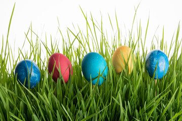 colorful easter eggs on green grass