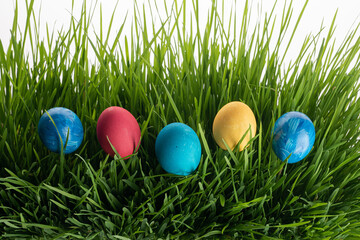 colorful easter eggs on green grass