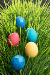 colorful easter eggs on green grass