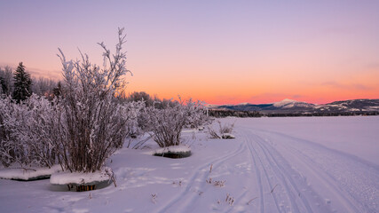 Winter landscape views along the Yukon River during January with stunning pastel orange, pink sunset views. 