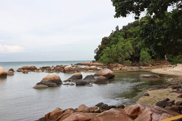 Fototapeta na wymiar Landscape empty natural rocky beach with tropical trees.
