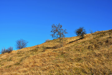panorama from the path to antola mountain liguria italy
