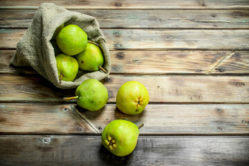 Fresh pears in the sack.