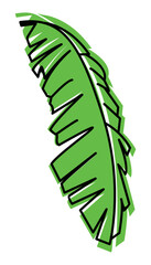 Banana Pattern Leaf Vector Design Illustration