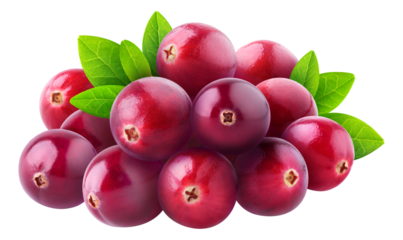 Pile of fresh cranberry fruits cut out
