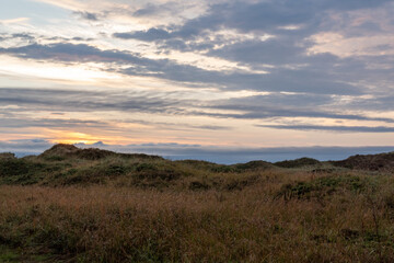Fototapeta premium sunset over gras dunes