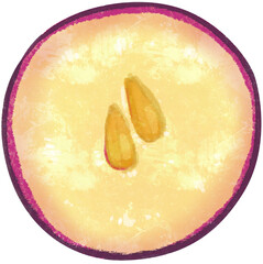 half of grapefruit illustration