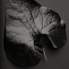 Black leaves texture pattern on black background. Black monochrome creative creative wallpaper. Texture for text and design.