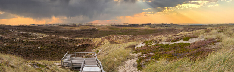 Fototapeta na wymiar Panorama der Dünenlandschaft bei List auf Sylt