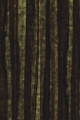 olive tree wood background texture structure backdrop