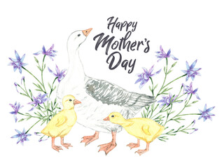 goose. Happy Mother's day. Watercolor cutegoose mom with baby. Hand painting postcard isolated white background.