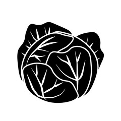 Cabbage simple icon. PNG illustration isolated on transparent background