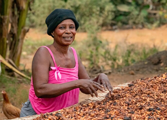 Raw and fermented cocoa beans drying in the sun by a beautiful smiling woman.